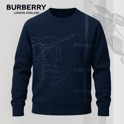 Premium SWEATER Best Selling 2025-LX-SWSBBR2025010