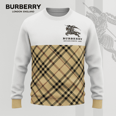 Premium SWEATER Best Selling 2025-LX-SWSBBR2025011