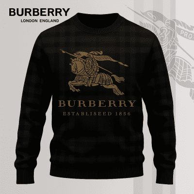 Premium SWEATER Best Selling 2025-LX-SWSBBR2025054