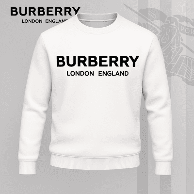 Premium SWEATER Best Selling 2025-LX-SWSBBR2025063