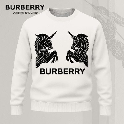 Premium SWEATER Best Selling 2025-LX-SWSBBR2025081